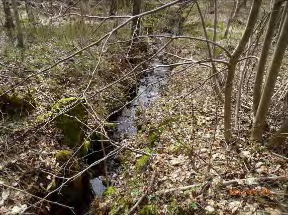 Lokalnamn: Biflöde 23, Jonsbäcken Naturvärdesbedömning: 4, Lägre värde Musselarter: Inga