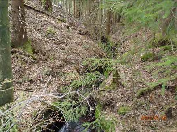 Medeldjup: 0,15 m Undersökt område: Från utflödet i Lilla Hallongen till väg 154 mot