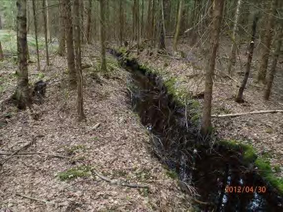 Omgivning: Barrskog, bebyggelse Närområde: Barrskog, väg Bottensubstrat: Finsediment 3,