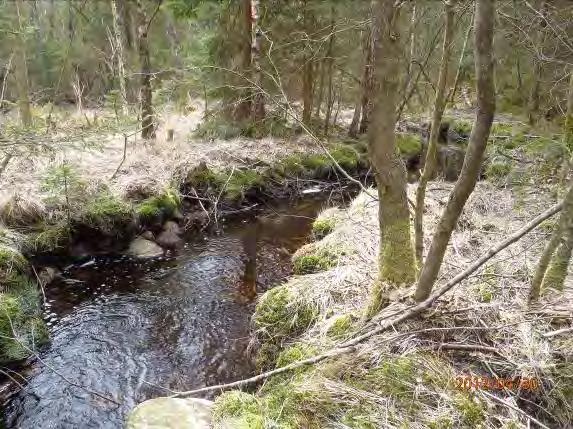 Lokalnamn: Biflöde 25, Naturvärdesbedömning: 2, höga värden, regionalt värdefull miljö. Musselarter: Inga musslor hittades. Åtgärdsförslag: Bäckens närområde skyddas mot avverkning.