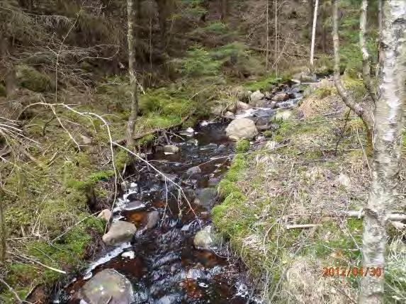 Inventeringsdatum: 2012-04-30 Koordinater: 6364142:1325744 Längd: 500 m Medelbredd: 1,5 m Medeldjup: 0,15 m Undersökt område: Från utloppet i Lilla Hallongen till väg Överlida-Gräne.