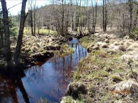 Lokalnamn: Biflöde 27 2, Bäckabobäcken Naturvärdesbedömning: 3, naturvärde lokalt värdefull miljö Musselarter: Inga musslor hittades Åtgärdsförslag: Mossmarken är känslig och bör skyddas mot