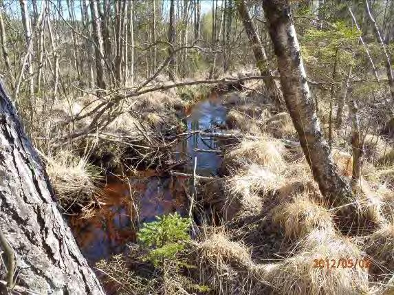 Lokalnamn: Biflöde 27 3, Bäckabobäcken Naturvärdesbedömning: 3, naturvärde lokalt värdefullmiljö.