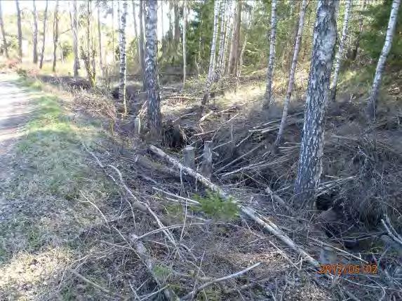 Ett tillkommande mindre järnockradike rinner in på vänster sida från grustaget.