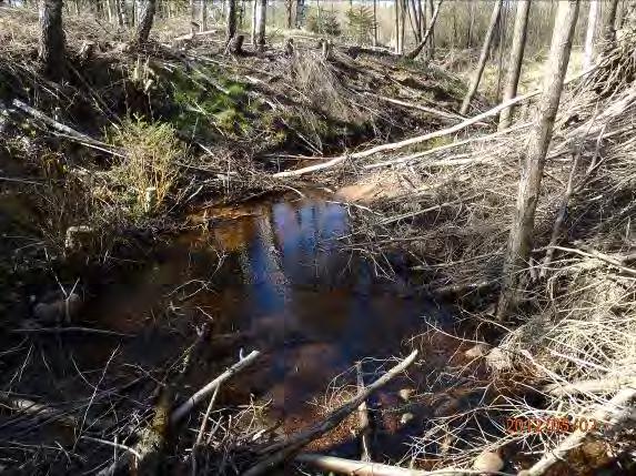 Lokalnamn: Biflöde 27 5, Bäckabobäcken Naturvärdesbedömning: 3, naturvärde lokal värdefull miljö Musselarter: Inga musslor