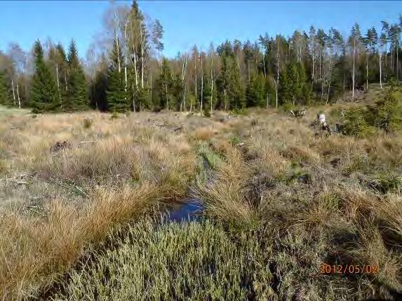 vandringshinder i form av stenkista och