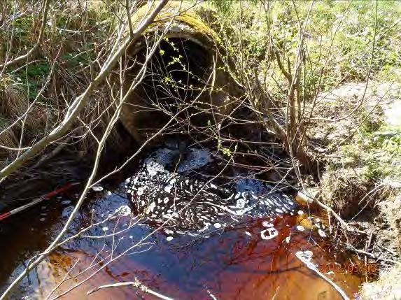 Vattendrag/sjö: Stenhultaån Inventeringsdatum: 2012 05 03 Koordinater: 6361871:1326128 Längd: 50 m Undersökt område: Sidflöde högersida