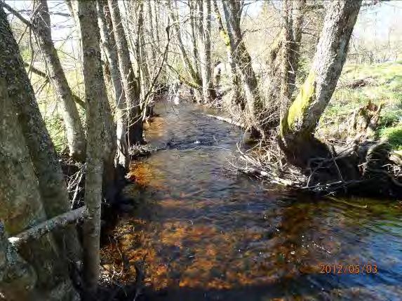 Lokalnamn: Biflöde 21 3 Naturvärdesbedömning: Höga värden 2 regionalt betydelsefull miljö Musselarter: Inga musslor Åtgärdsförslag: Det tre trummorna byts ut mot större Halvtrumma.