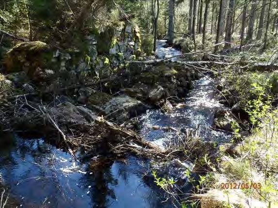 En kvarnrest finns på sträckan där avverkning har skett i närområdet och som utgör