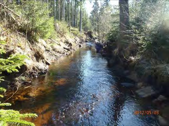 Lokalnamn: Biflöde 21 6 Naturvärdesbedömning: 3 Naturvärde lokal värdefull natur Musselarter: Inga musslor Åtgärdsförslag: Sträckan restaureras med att den sten som finns utmed vattendraget läggs