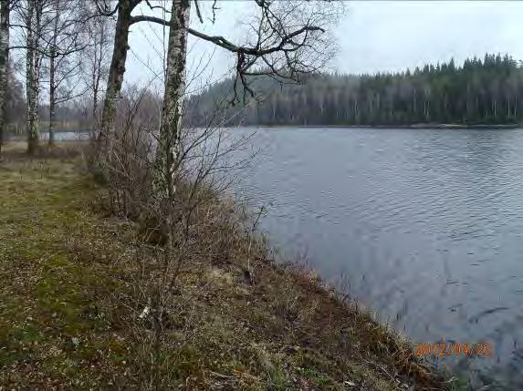 Från inflödet i Nabbasjön till utflödet Lilla Nabbasjön Omgivning: Blandskog, Kalhygge Närområde: Madmark,