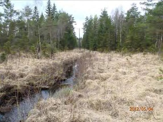 Lokalnamn: Biflöde 21 7 Naturvärdesbedömning: 3 Naturvärde lokal värdefull natur Musselarter: Inga musslor Åtgärdsförslag: Sträckan med dess närhet har viktig funktion som vattenrenande och