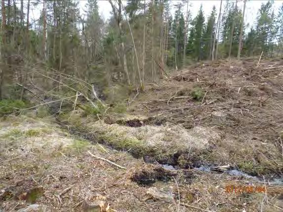 Vattendrag/sjö: Stenhultaån Inventeringsdatum: 2012 05 04 Koordinater (start stopp): 6362330:1327408 6362729:1327744 Längd: 652 m Undersökt område: Från Mossmeandringens början till ledningsövergång