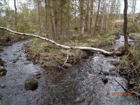 Lokalnamn: Biflöde 21 8 Naturvärdesbedömning: 2 höga värden, regionalt betydelsefull miljö Musselarter: Inga musslor.