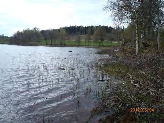 Lokalnamn: Biflöde 21 9 Naturvärdesbedömning: 3 Naturvärde lokal värdefull natur Musselarter: Inga musslor hittades.