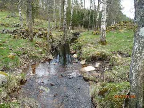 Djupasjön har