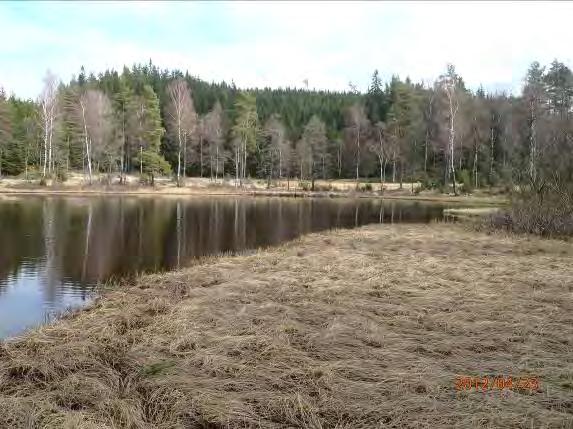 Inventeringsdatum: 2012-04-23 Koordinater: