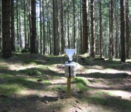 Mätningar i skogen Under trädkronorna i skogen mäts krondropp, som ger ett summerat mått på både våt- och torrdeposition, vilket dock för vissa ämnen måste korrigeras för samverkan med trädkronorna.