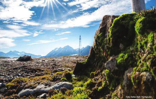 Dag 3 8 15 20 maj Nordvest-Spitsbergen nationalpark Spetsbergens nordvästra hörn domineras av kuperade öar, vackra fjordar och isolerade stränder.