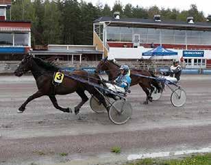 PREMIELOPP LJUSBL start. KVALLOPP LJUSBRUN start. KVALER VARMBLOD., - -åriga., - -åriga., - -åriga & äldre., - montékval KVALER KALLBLOD.,- -åriga.,- -åriga., - -åriga & äldre., - montékval PREMIEER Varmblod -åriga.