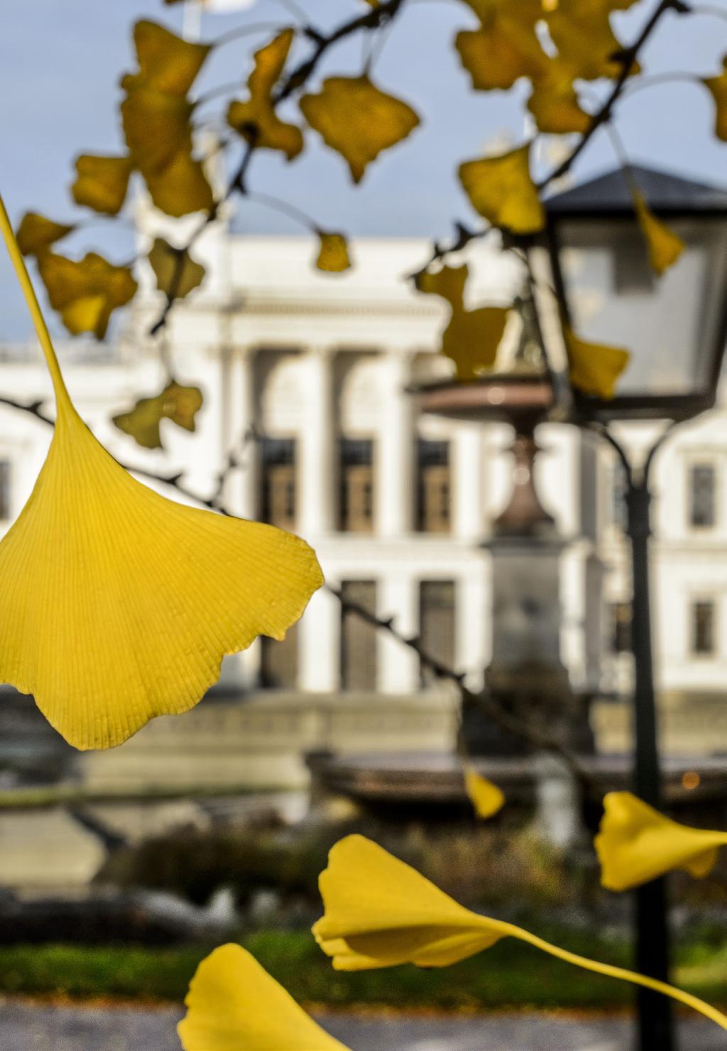 18 STRATEGISK PLAN, MEDICINSKA FAKULTETEN 2019 2024 Efterord VI DEFINIERAR NÅGRA AV DE ORD VI ANVÄNDER: Studenter inbegriper alla på grund-, avancerad och forskarnivå.