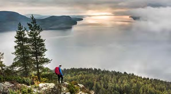 ETAPP 5 LAPPUDDEN ULLÅNGER LÄNGD: 15 km SVÅRIGHETSGRAD: Krävande TID ATT GÅ: 5 6 timmar BOENDEN: Ullångers Hotell & Restaurang AVSTICKARE: Kiörningsberget, 500 meter från leden.