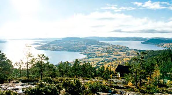 ETAPP 8 SKULEBERGET ENTRÉ SYD LÄNGD: 9,7 km SVÅRIGHETSGRAD: Normal TID ATT GÅ: 5 6 timmar BOENDEN: Skuleskogens Pensionat AVSTICKARE: Dalsjöfallet, 1,9 km från leden TRANSPORT: Hållplatser