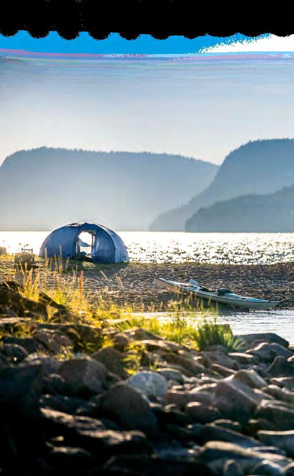 skalgrus, det vill säga fossila musselskalbankar.