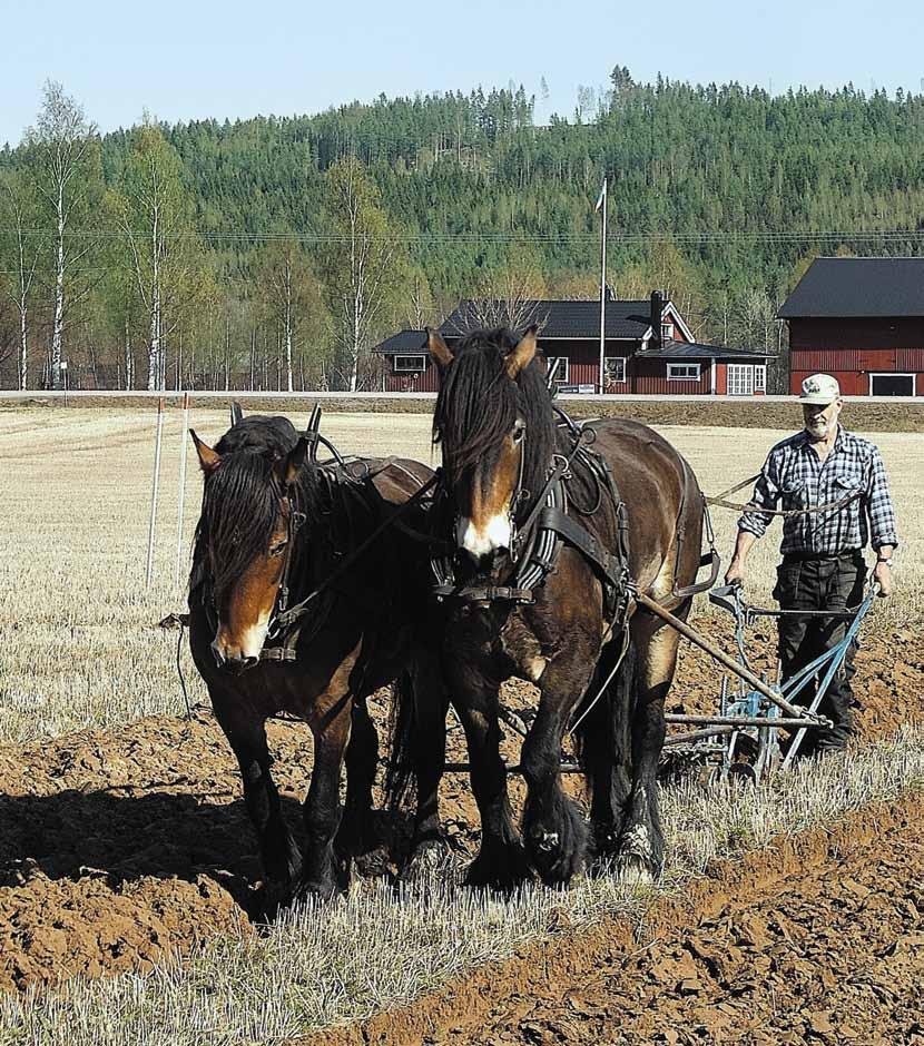 Postens gruppförsändelse Kyrkoblad