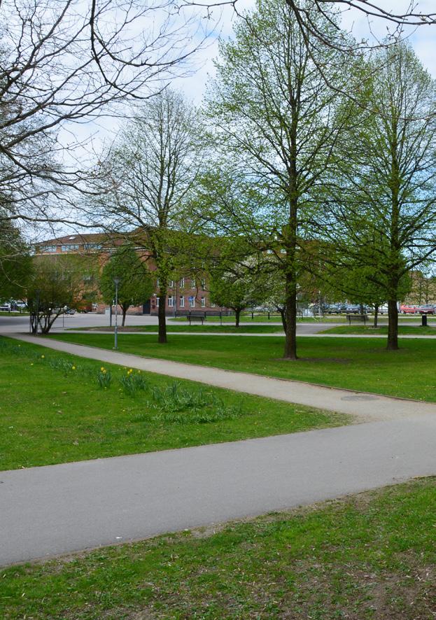 Den föreslagna markanvändning kräver inga åtgärder utifrån riskhanteringsplanens rekommendationer.