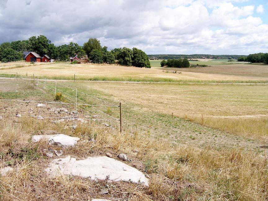 På hällen i förgrunden ärden