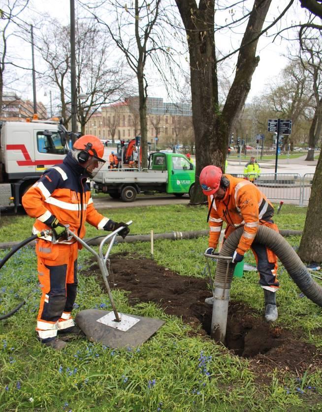 Bild 2. Skonsam schakt med tryckluft och vakuumsugning nära träd.