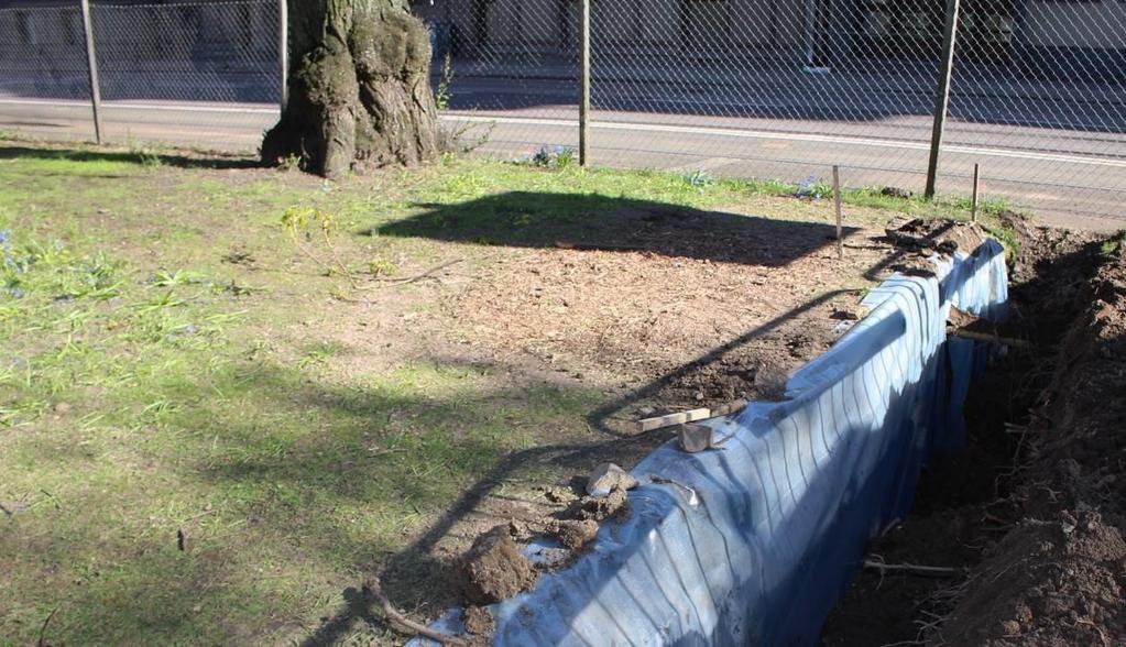 Bild 5. Rotdraperi av plast vid schaktvägg för att motverka uttorkning av jord och beskurna rötter.