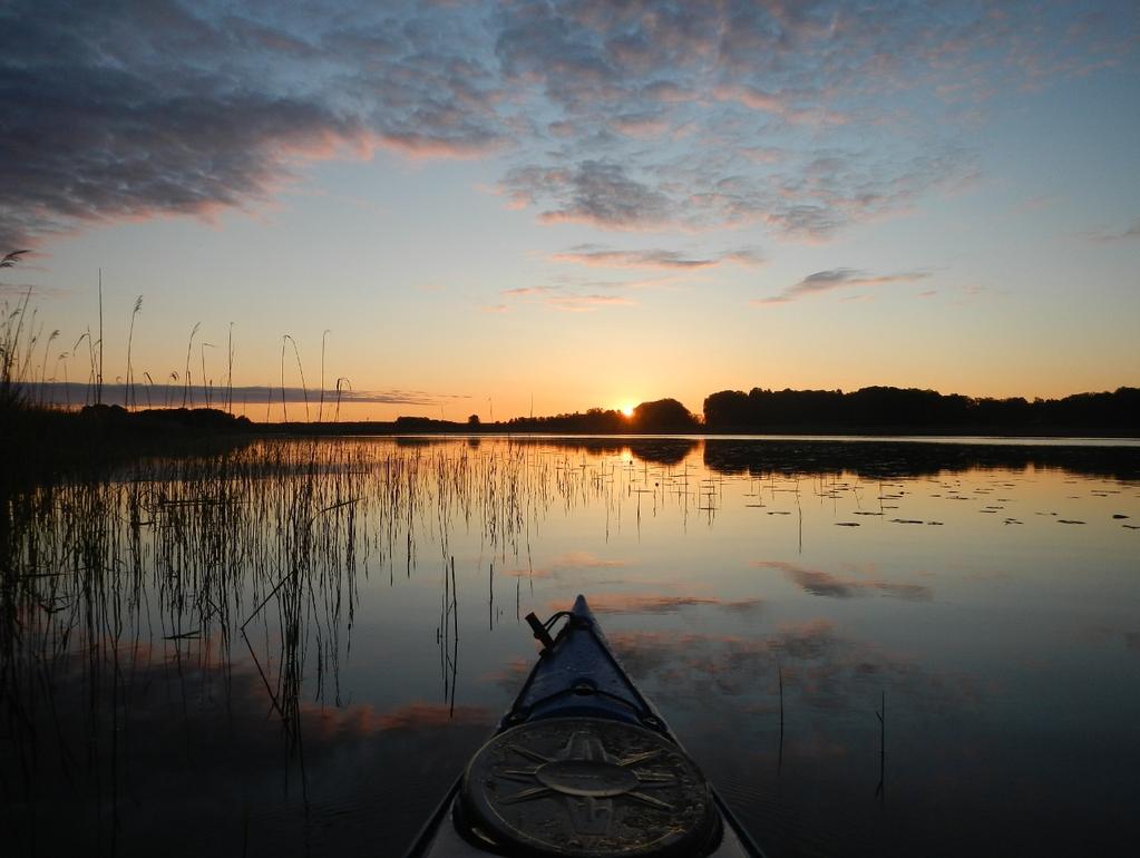 Vid promenaden/paddling mellan punkterna har hörda och sedda fåglar registrerats på en surfplatta av märket SONY med programmet Collector kopplat till ESRIs ArcGIS online.