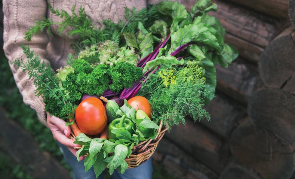 KOSTEN En mångsidig och färgrik kost 3 5 måltider om dagen. Ät mycket grönsaker, rotfrukter, bär och frukt. Måttligt med energi. Tillräckligt med protein. Tillräckligt med fiber.