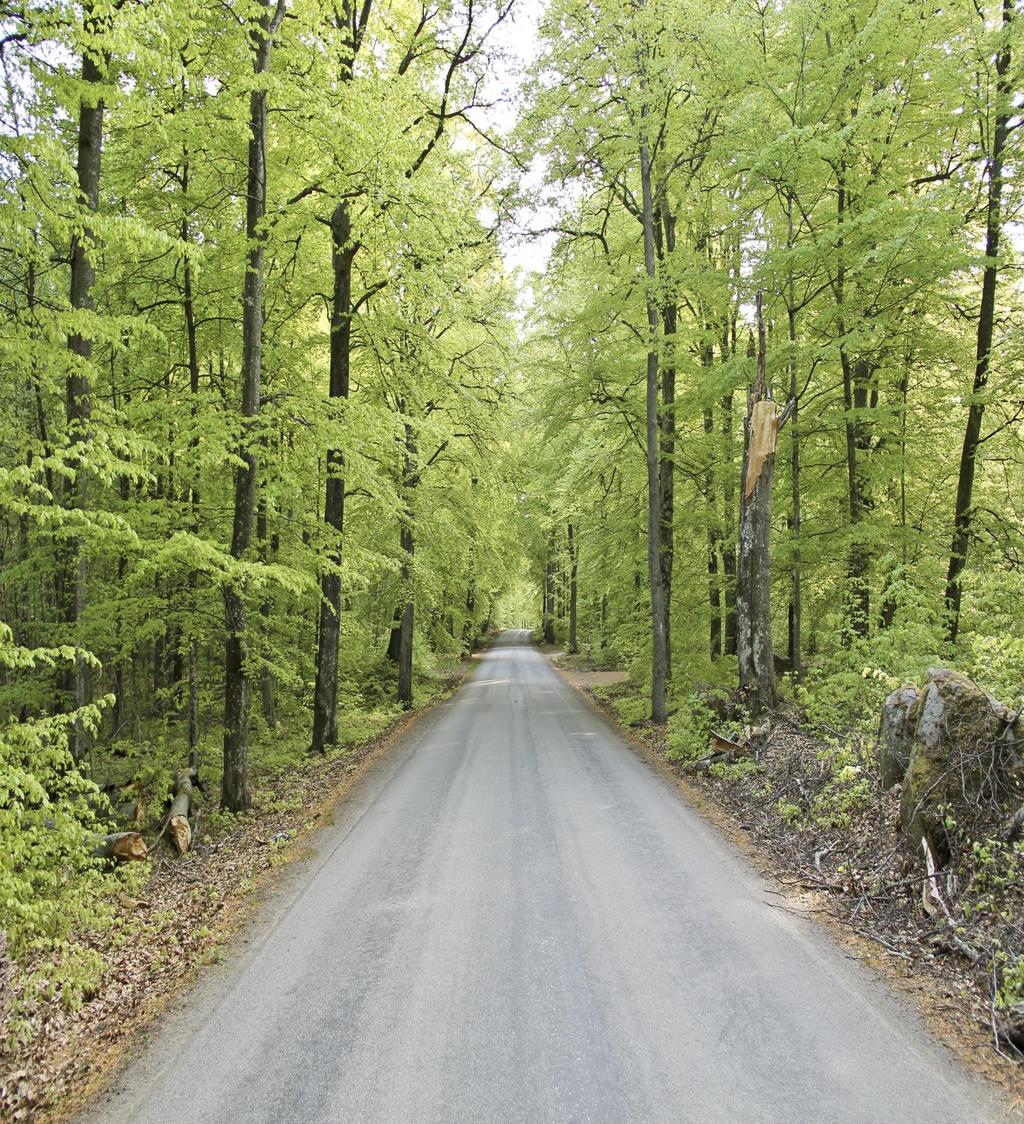 Miljö- och hållbarhetsplan för Region Blekinge