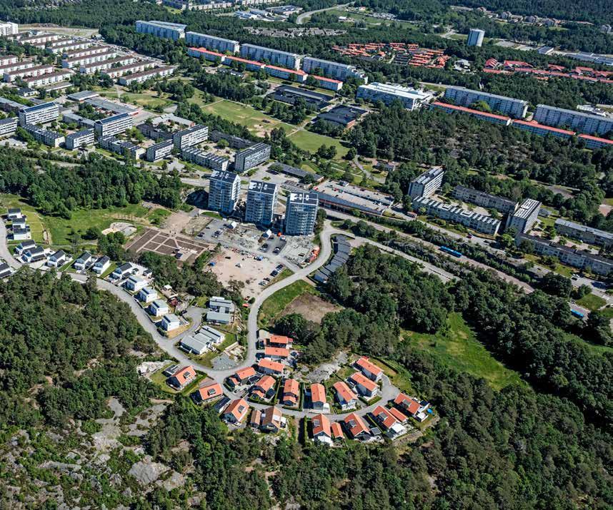 FRÅN PROBLEMOMRÅDE TILL