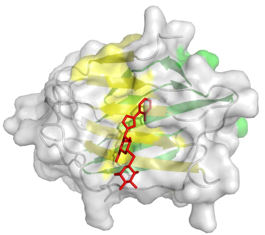 Dimethyl Sulfoxide DMSO is an organic compound consisting of a sulfur monoxide group bound to two methyl groups as seen in Figure. 3. It is commonly used as highly polar aprotic solvent.