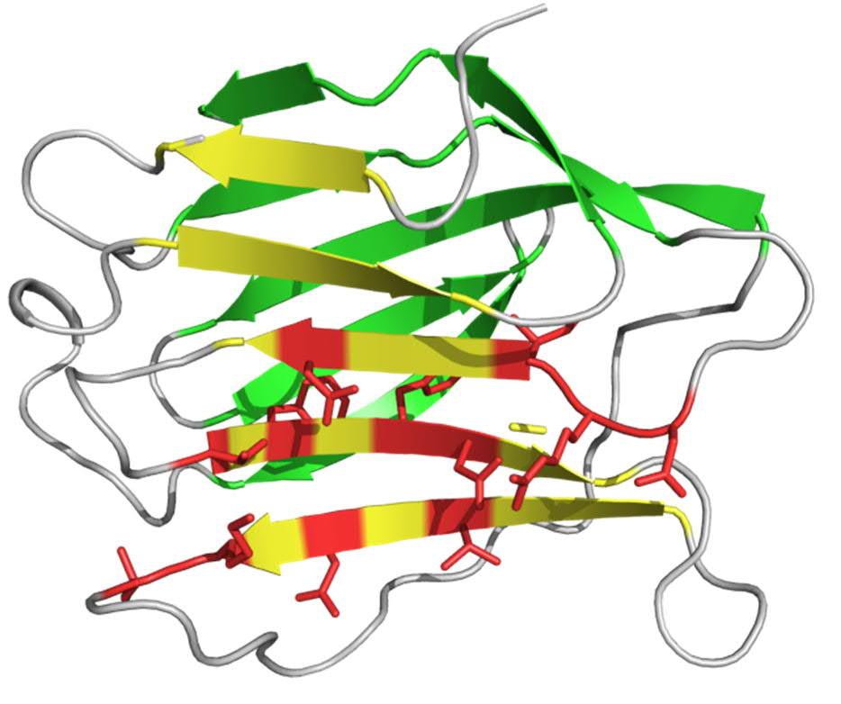 Figure 9. 3 characteristic dispersion plots for V155 (left), N160 (center), and N174 (right), all located in the binding site. Figure 10.