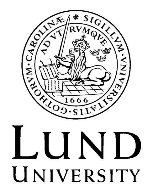 The Effect of DMSO on Binding Affinity Simon Birgersson MASTER S THESIS Master of Science in Engineering, Biotechnology Faculty of Engineering Lund University, Sweden