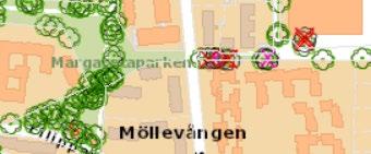 rekommenderas att, utöver Grönprogrammets