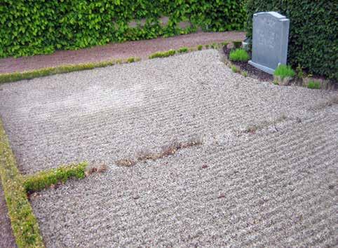Återplantering Återplantering av utgången buxbom i avgränsningshäckarna på kyrkogården är planerad att ske i september månad.