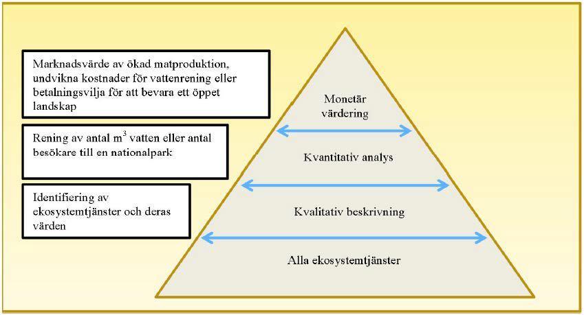 Värdering av ekosystemtjänster: Hanson, m.fl. 2014.