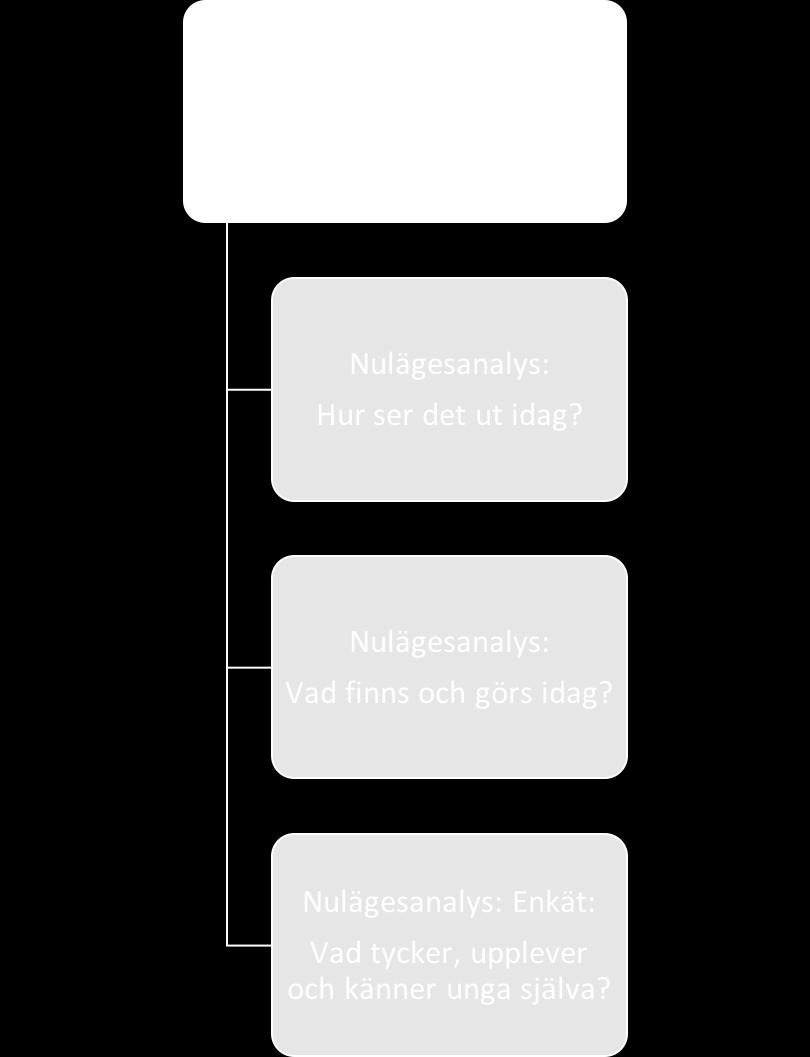 möta det behov som unga uttrycker, möter och ser. Den sista delen av projektet består av en plan för framtida arbete.