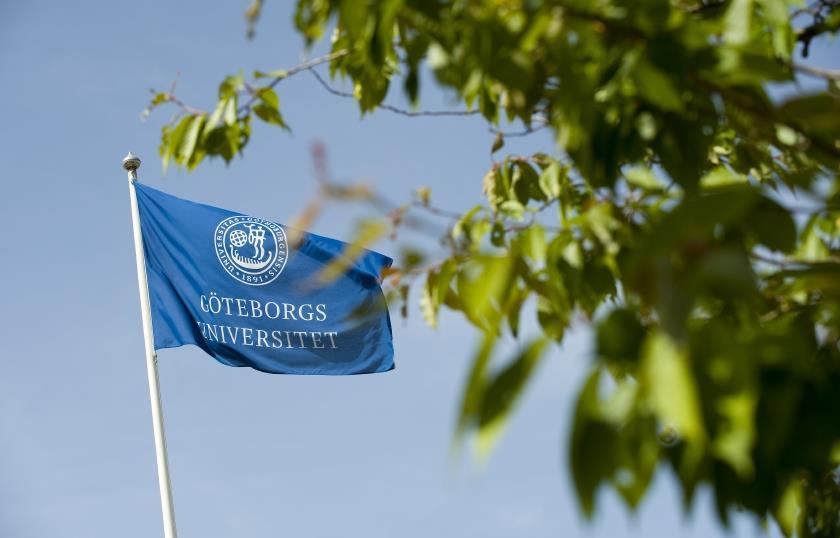 EN RÖST Många som bidrar men det ska inte märkas för läsaren Tala med en röst Samtidigt finns utrymme för att kommunicera de olika delarna Göteborgs universitets webbplats ska All främja