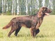 se SMÅLAND ÖSTERGÖTL. Lund, Karl-Oskar Valdshult Mossebo, 330 27 Hestra, 070-515 71 75, karloskar.lund@gmail.