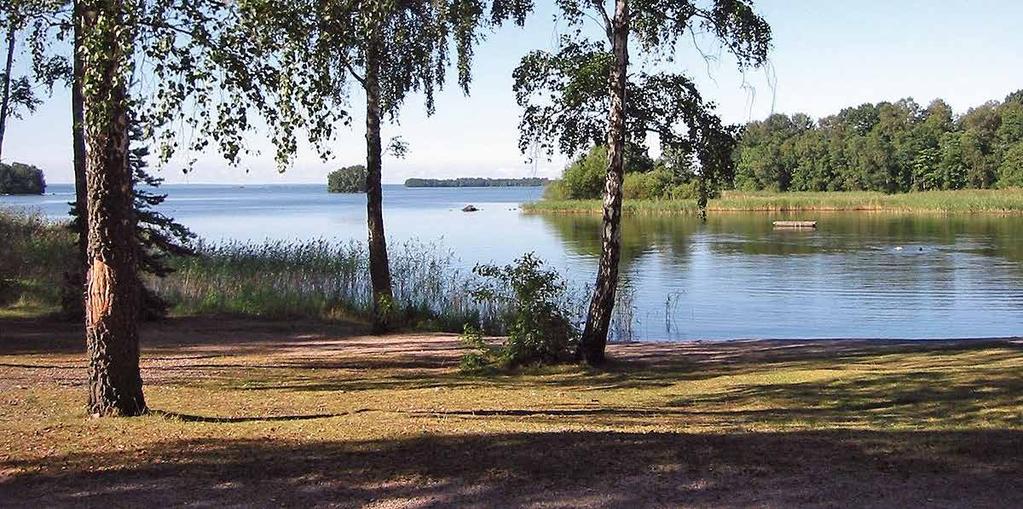 15 juni. Samling vid Herrfallet. Svenska Vorstehklubben och SVK/Mellansvenska arrangerar i år SVK:s Riksutställning.