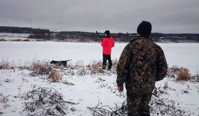 PÅ STRÄVHÅRSJAKT I FINLAND Tjugoåtta hanhundar av finskt, svenskt, norskt, tyskt och ungerskt ursprung var anmälda.