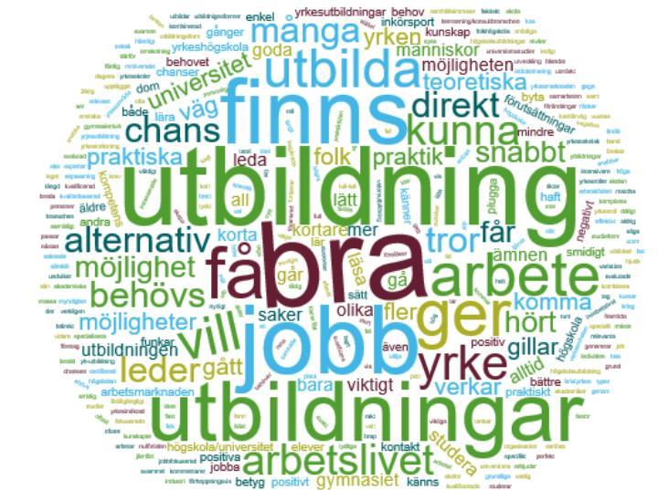 Motiv till positiv inställning till yrkeshögskolan På vilket sätt är du positivt inställd?