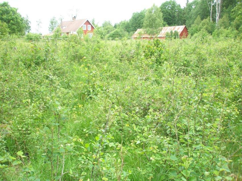 naturtyperna Resten är riskmarker, stickprov och